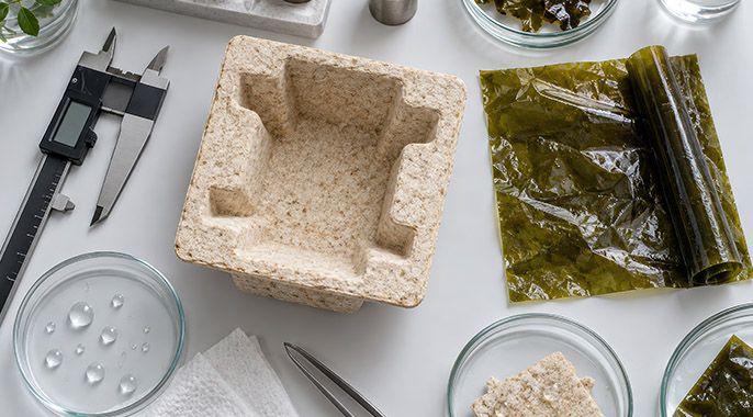 Curso de Design Especulativo - Biomateriais